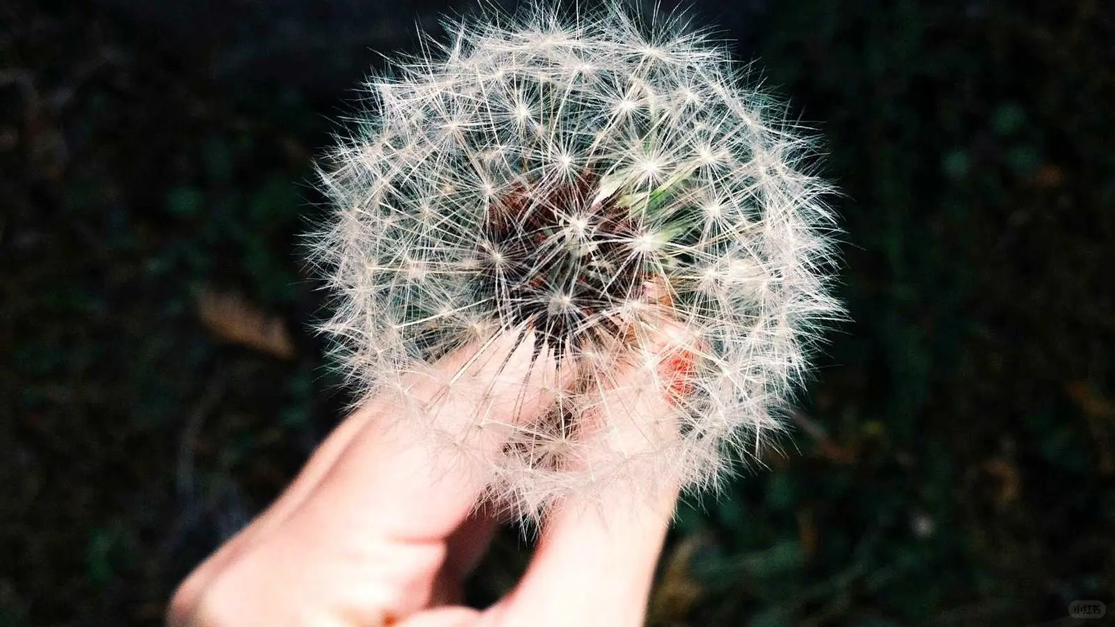 90%企业目标总泡汤？这个武器让KPI跑起来！