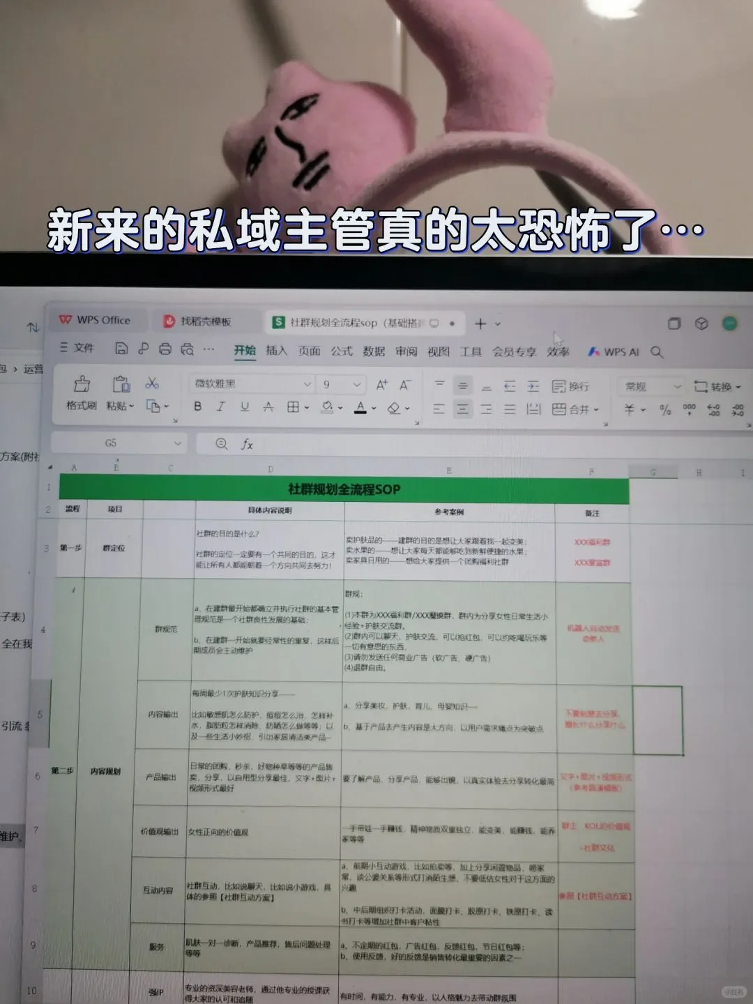 救命！没见过那么完善的私域运营规划sop