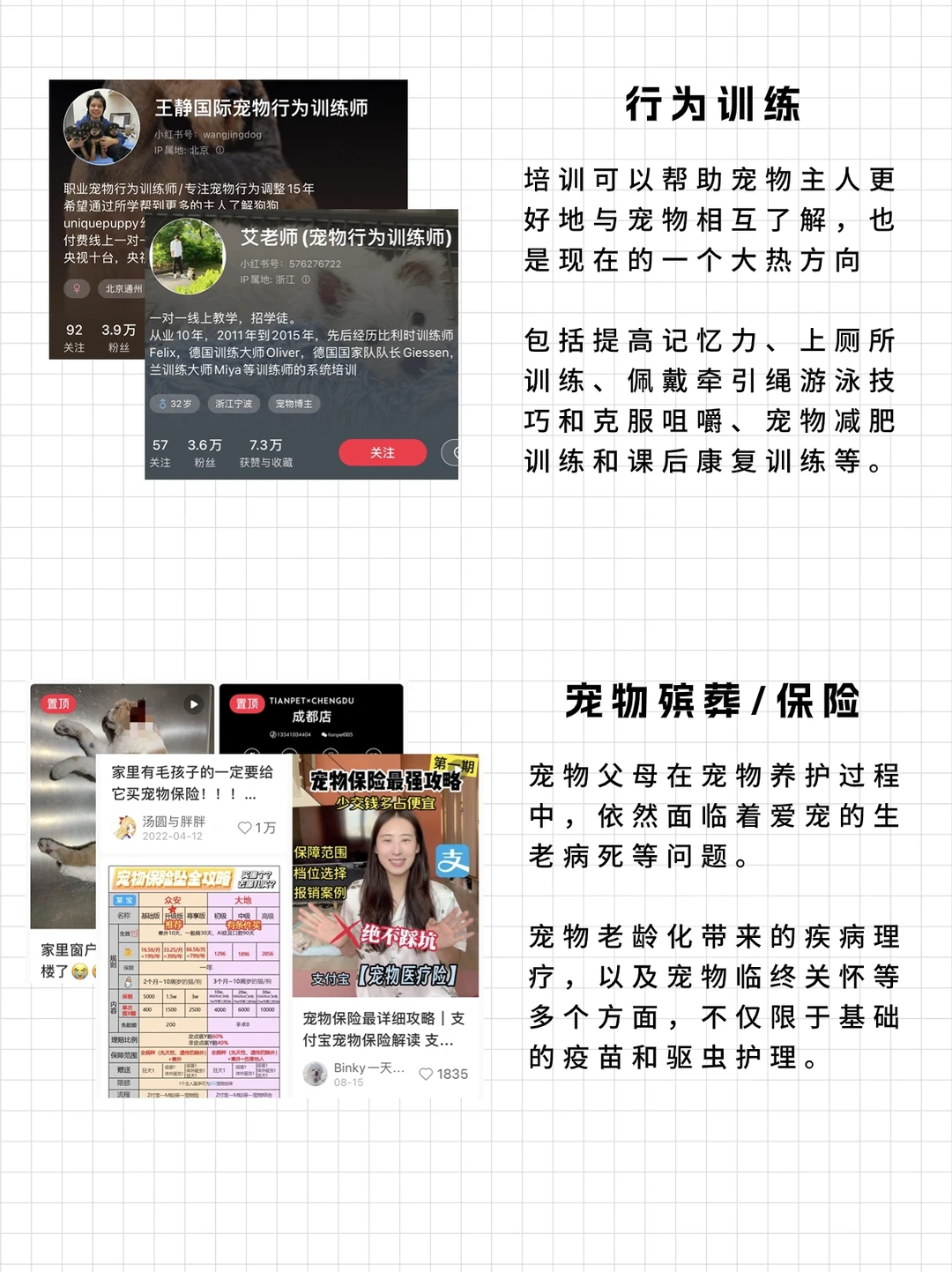 下半年宠物赛道如何做丨四个上升赛道
