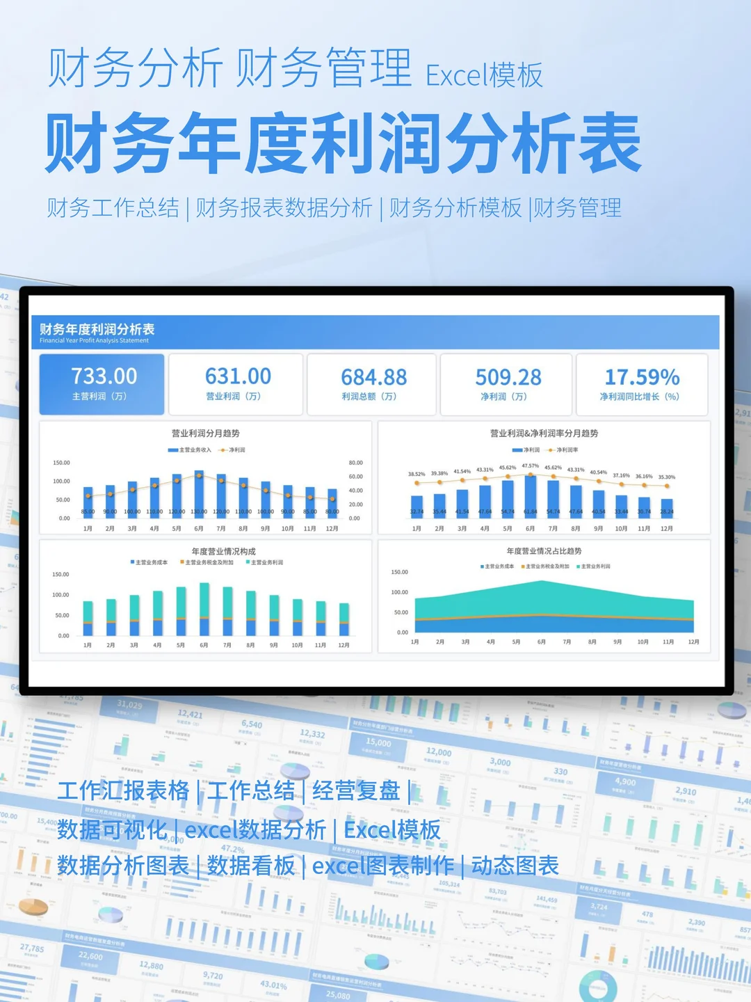财务必备！年度利润分析看板让决策更准确