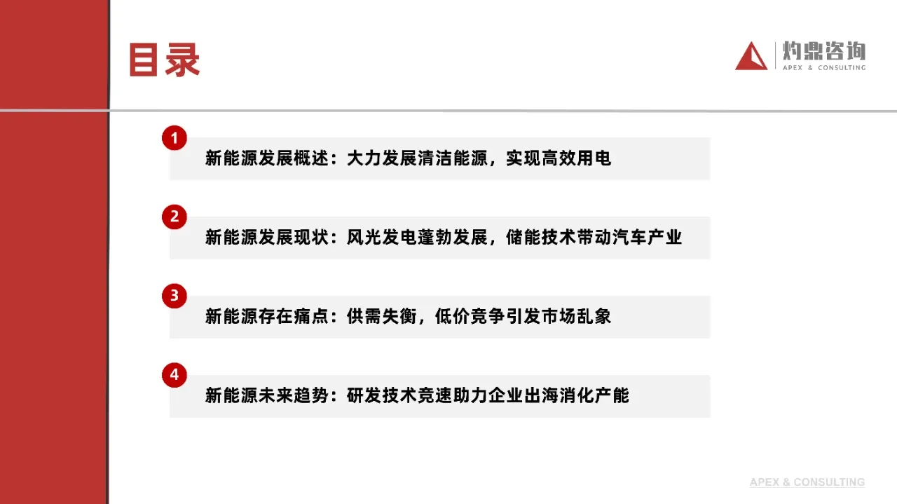 2024年中国新能源行业洞察报告