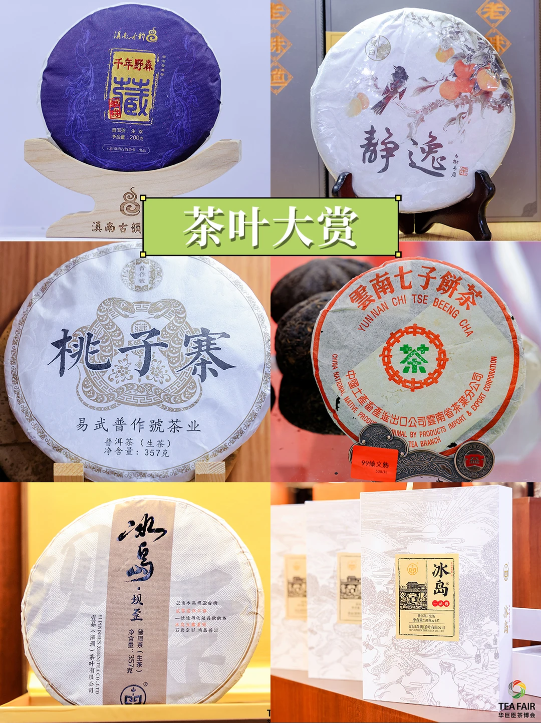 周末去哪玩？深圳人别错过这场茶界盛会！！