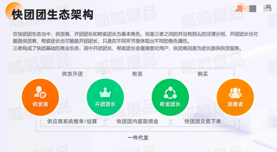 【独家】2023私域电商快团团行业洞察报告