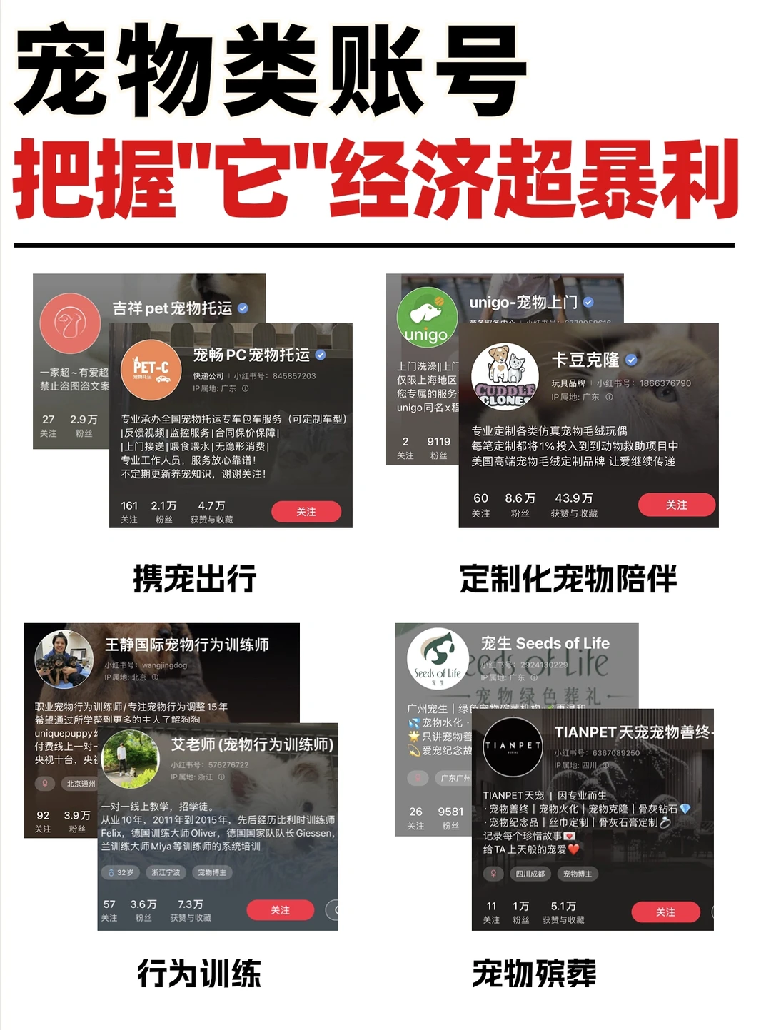 下半年宠物赛道如何做丨四个上升赛道