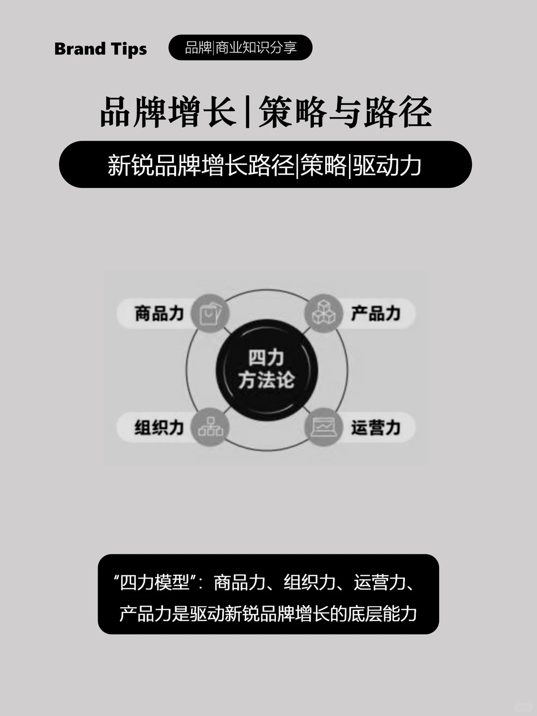 新锐品牌增长路径|策略|驱动力(三)