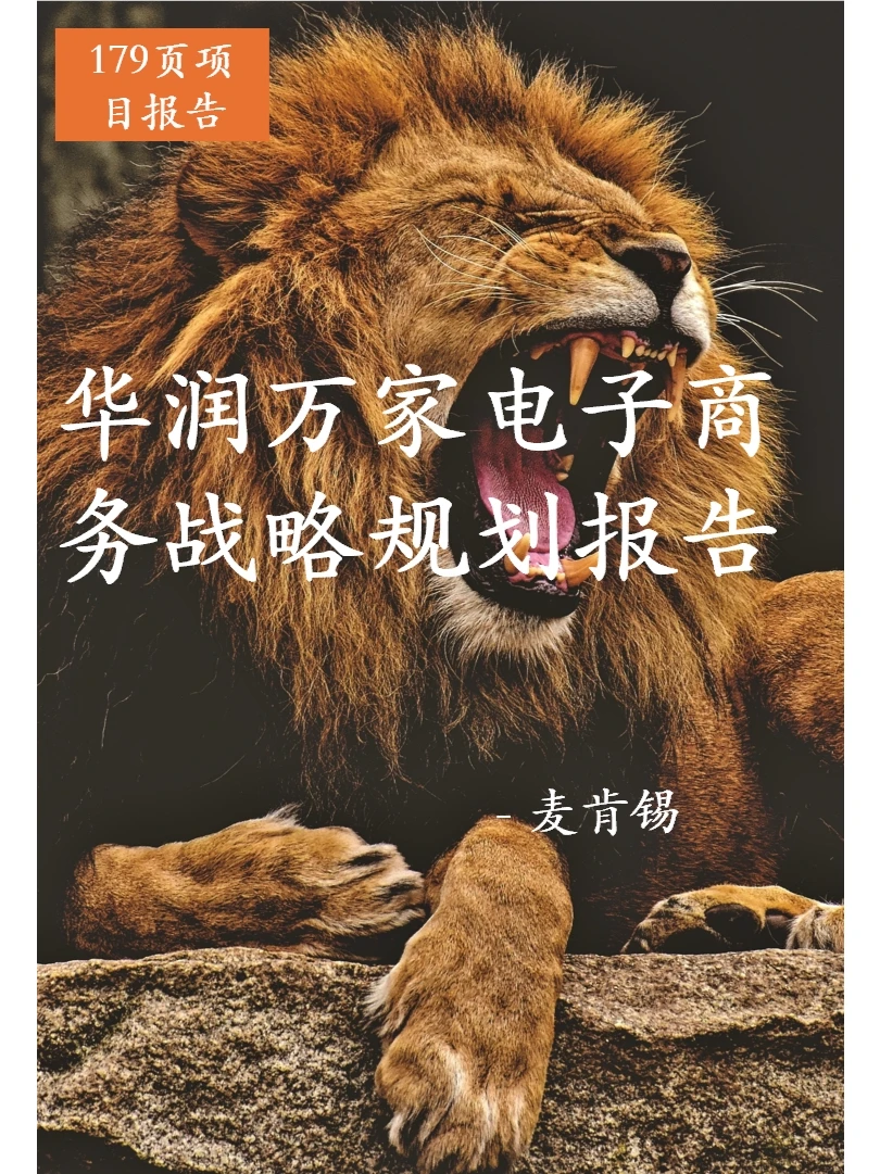 麦肯锡_华润万家电子商务战略规划报告