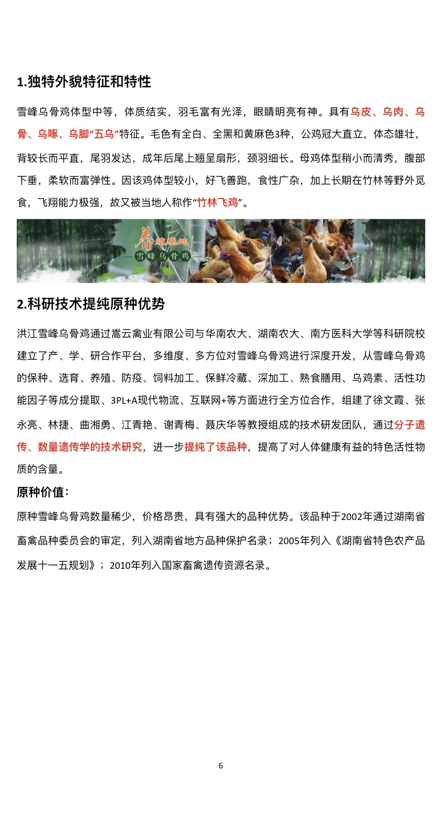 品牌策划方案案例分享