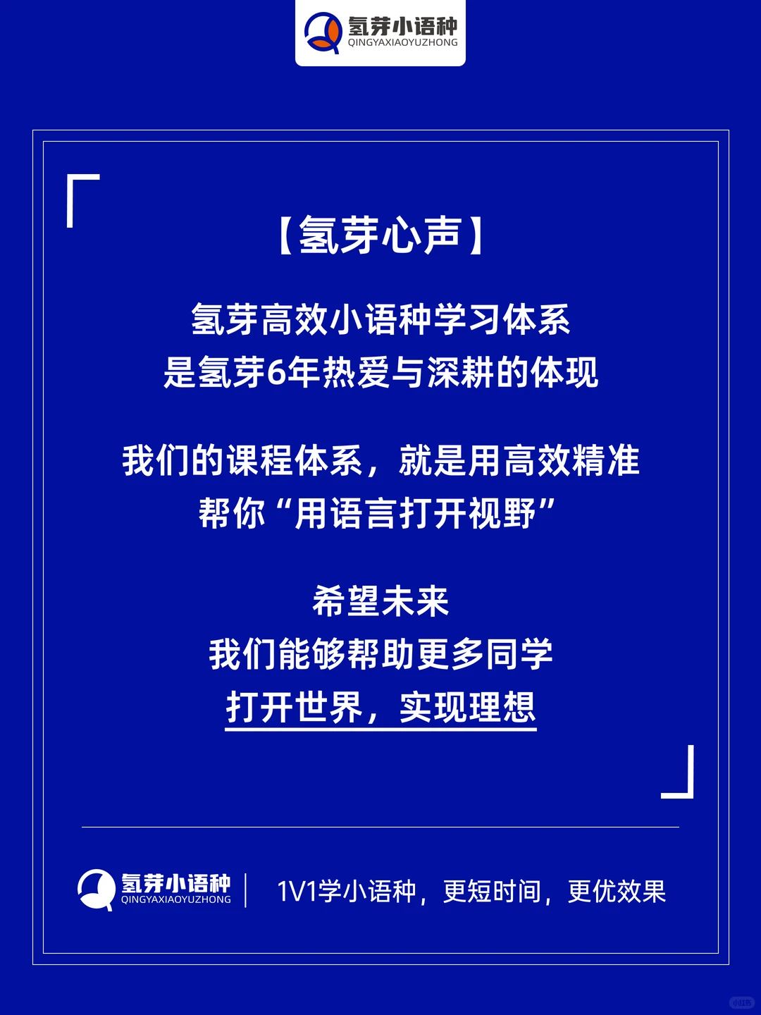 官方发布|氢芽小语种2024年度数据报告