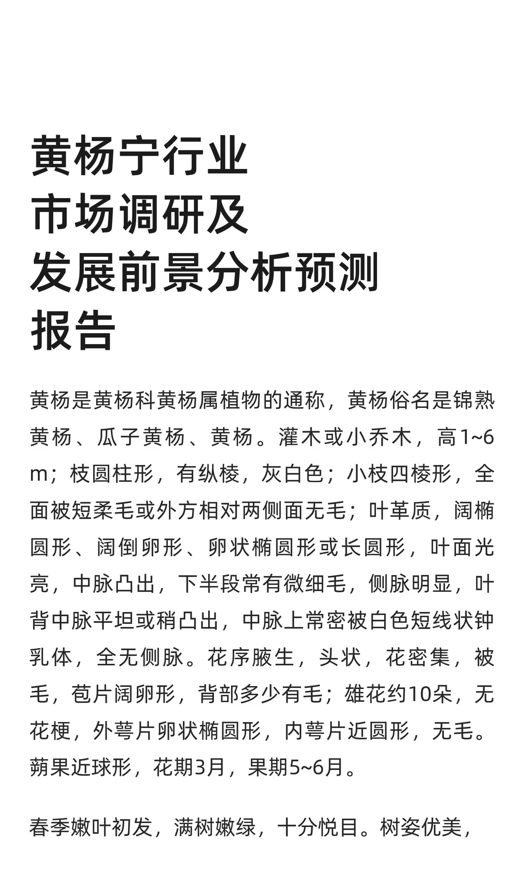黄杨宁行业市场调研及发展前景分析预测