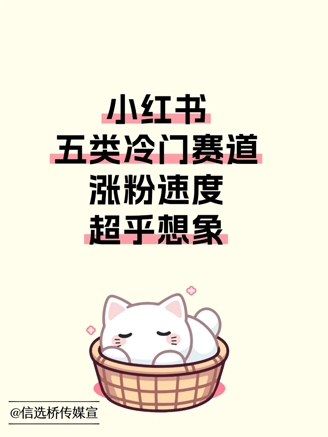 小红书冷门赛道涨粉速度超乎想象