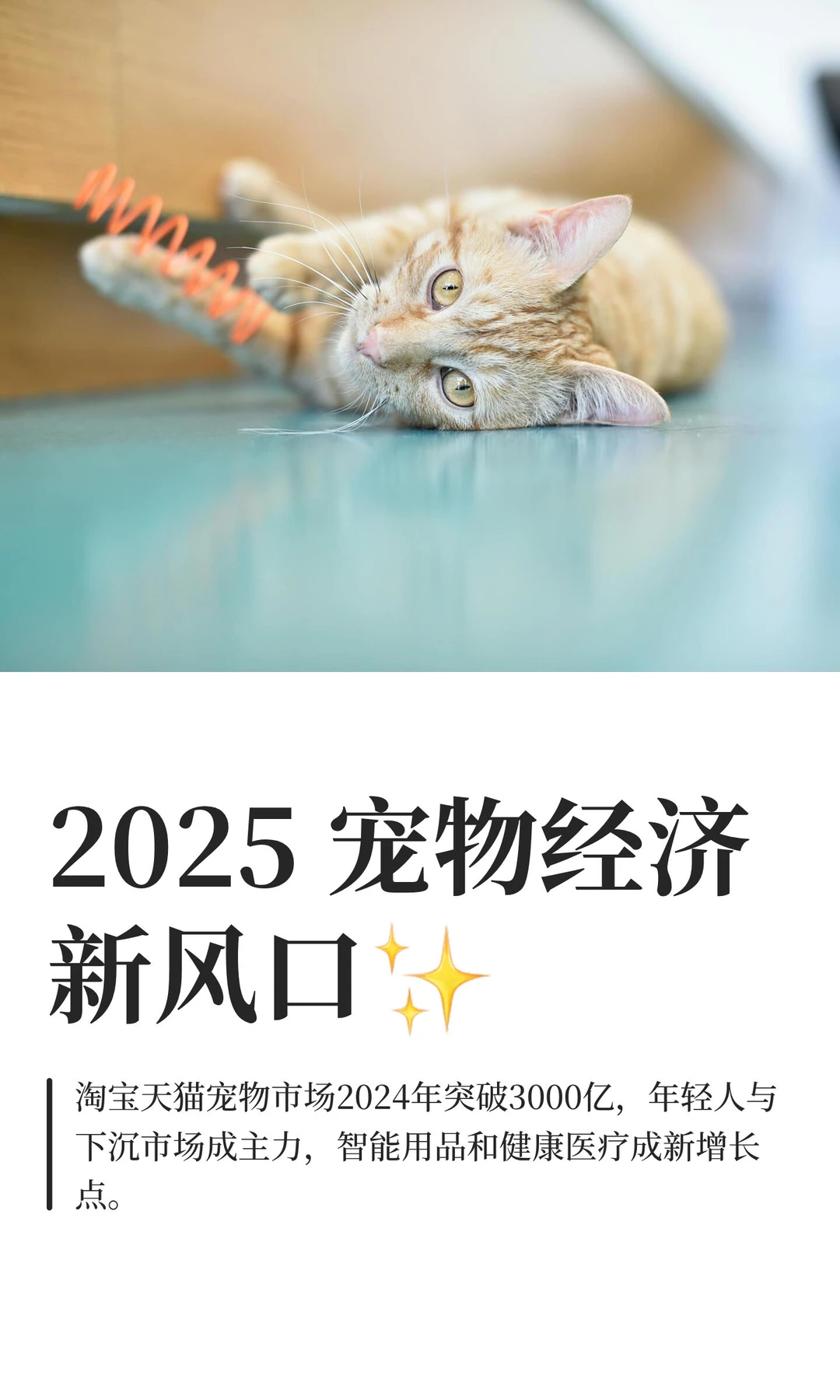 2025 宠物经济新风口✨