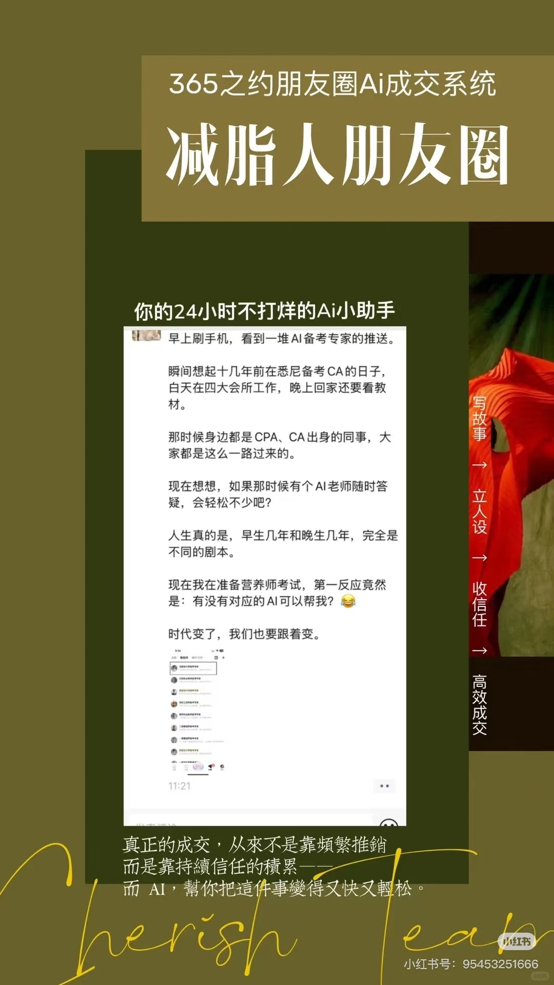 365之约，私域IP成交Ai智能体系统