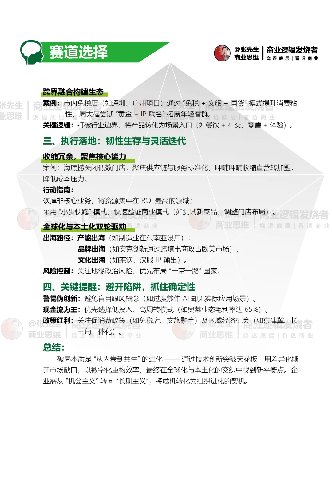 战略 模式 执行 抢占未来产业先机