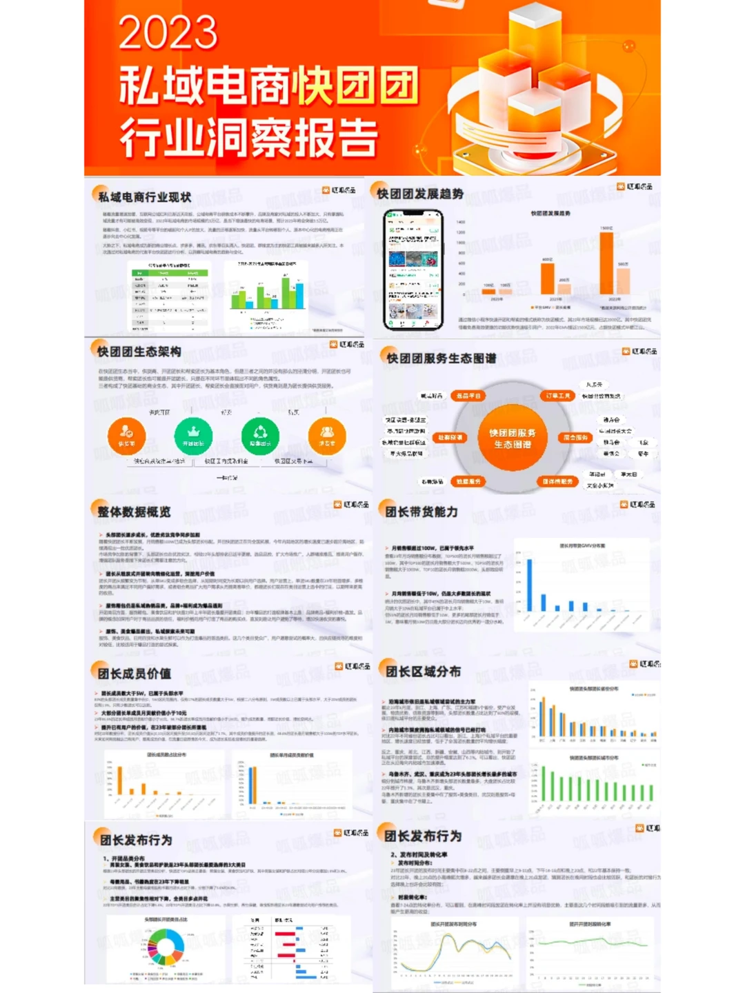 【独家】2023私域电商快团团行业洞察报告