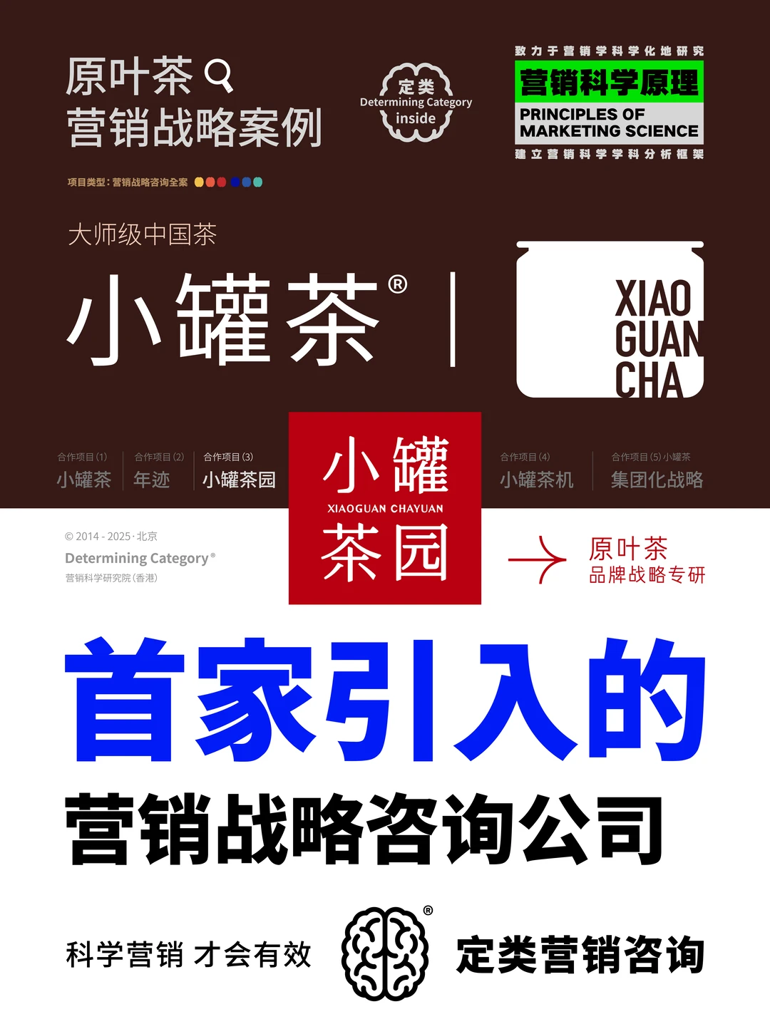 定类X小罐茶园｜原叶茶品牌营销战略咨询