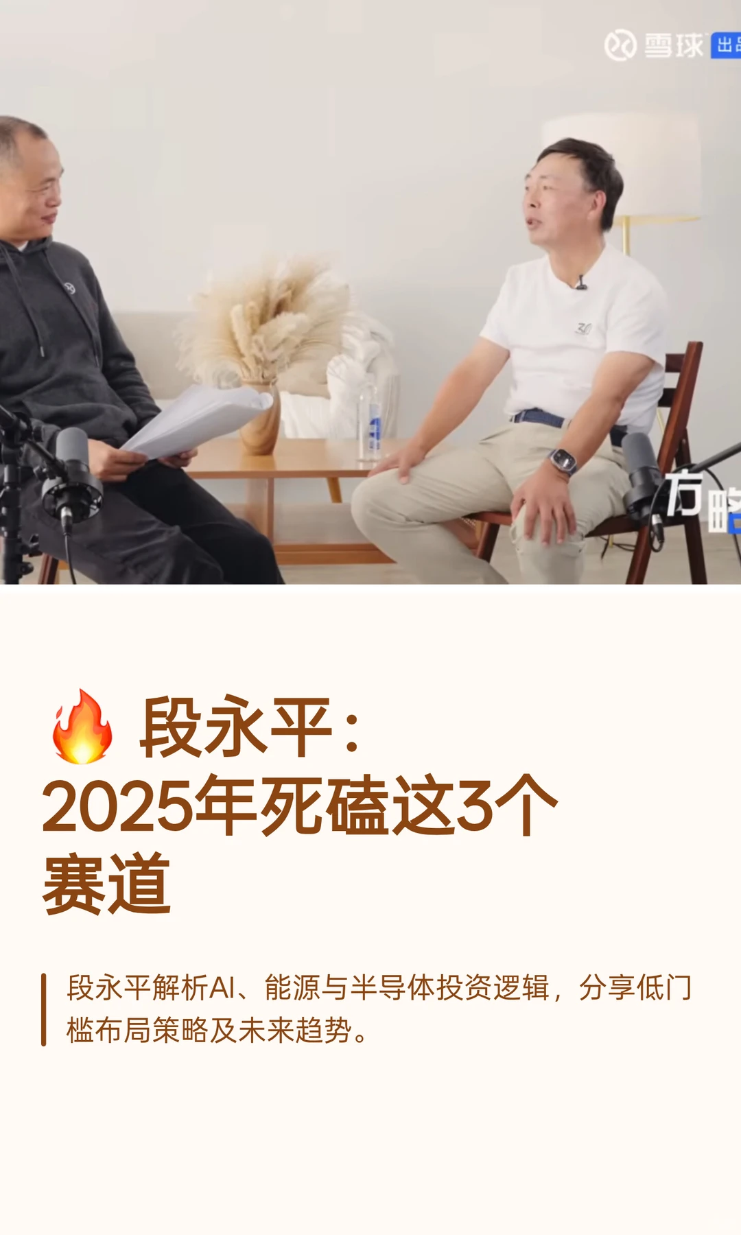 ? 段永平：2025年死磕这3个赛道