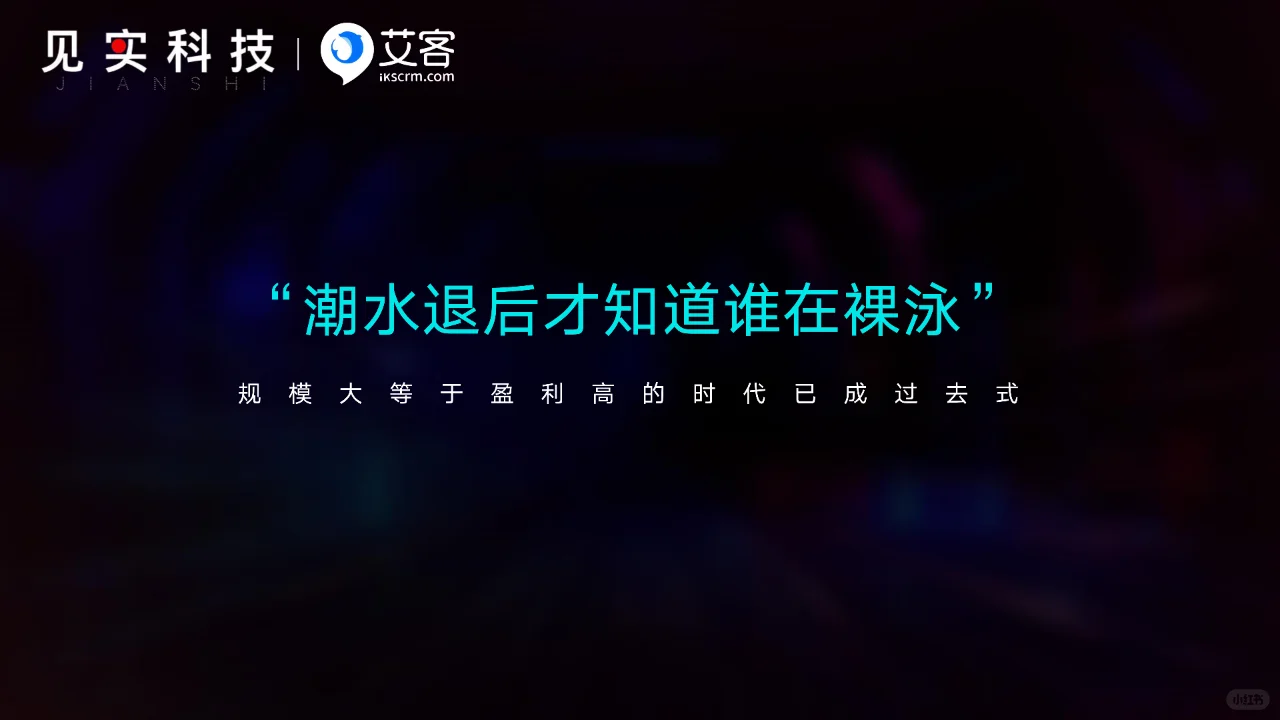 2024鲜为人知的赚钱私域内幕-极致人效