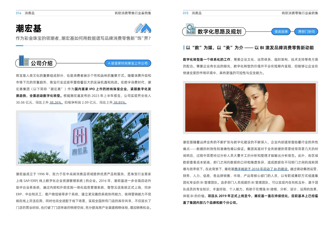 消费零售行业案例集