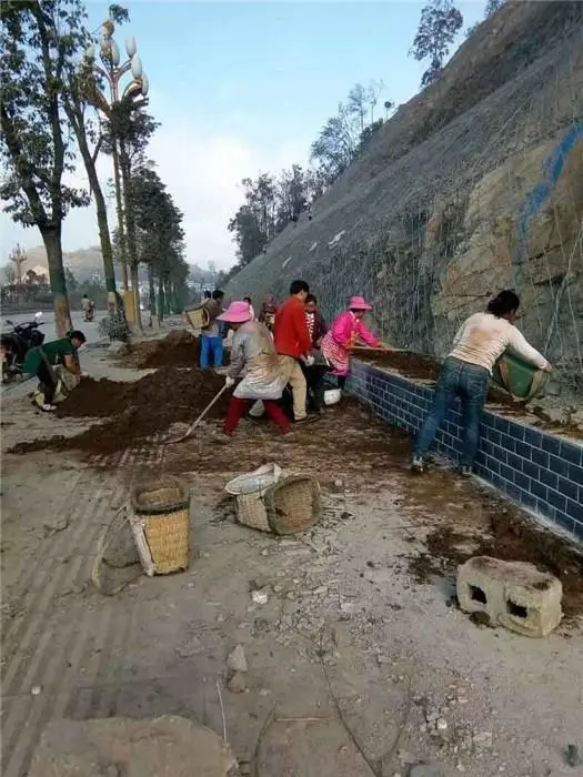 2025重庆边坡防护网厂商推荐：...