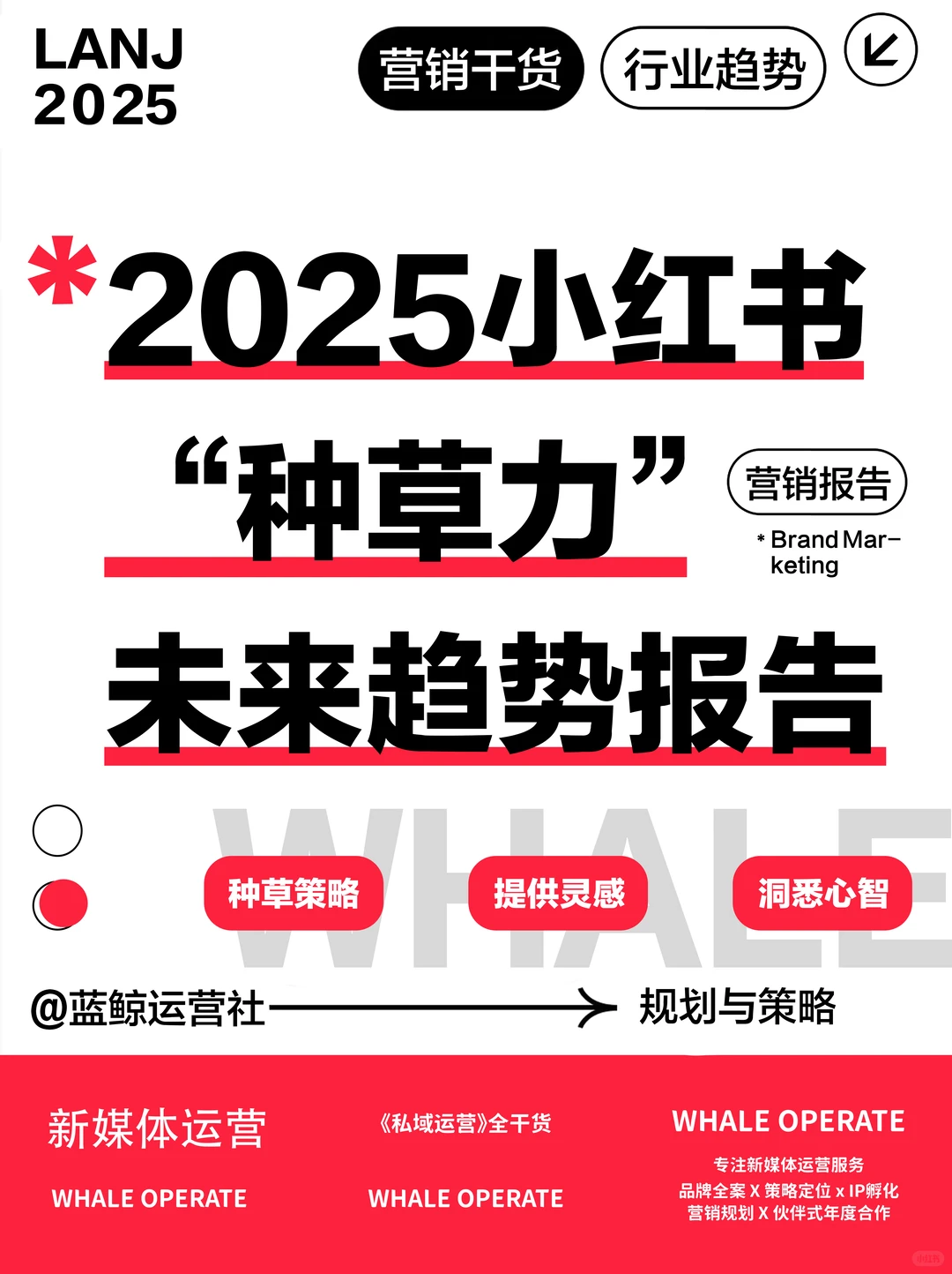 营销热点|小红书“种草力”未来趋势报告