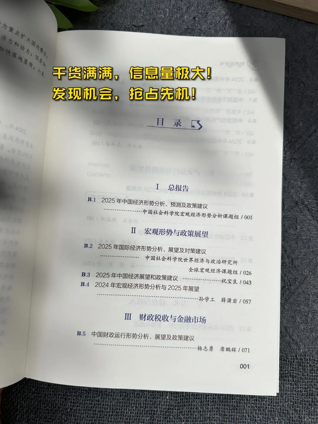搞钱必看?《中国经济蓝皮书》