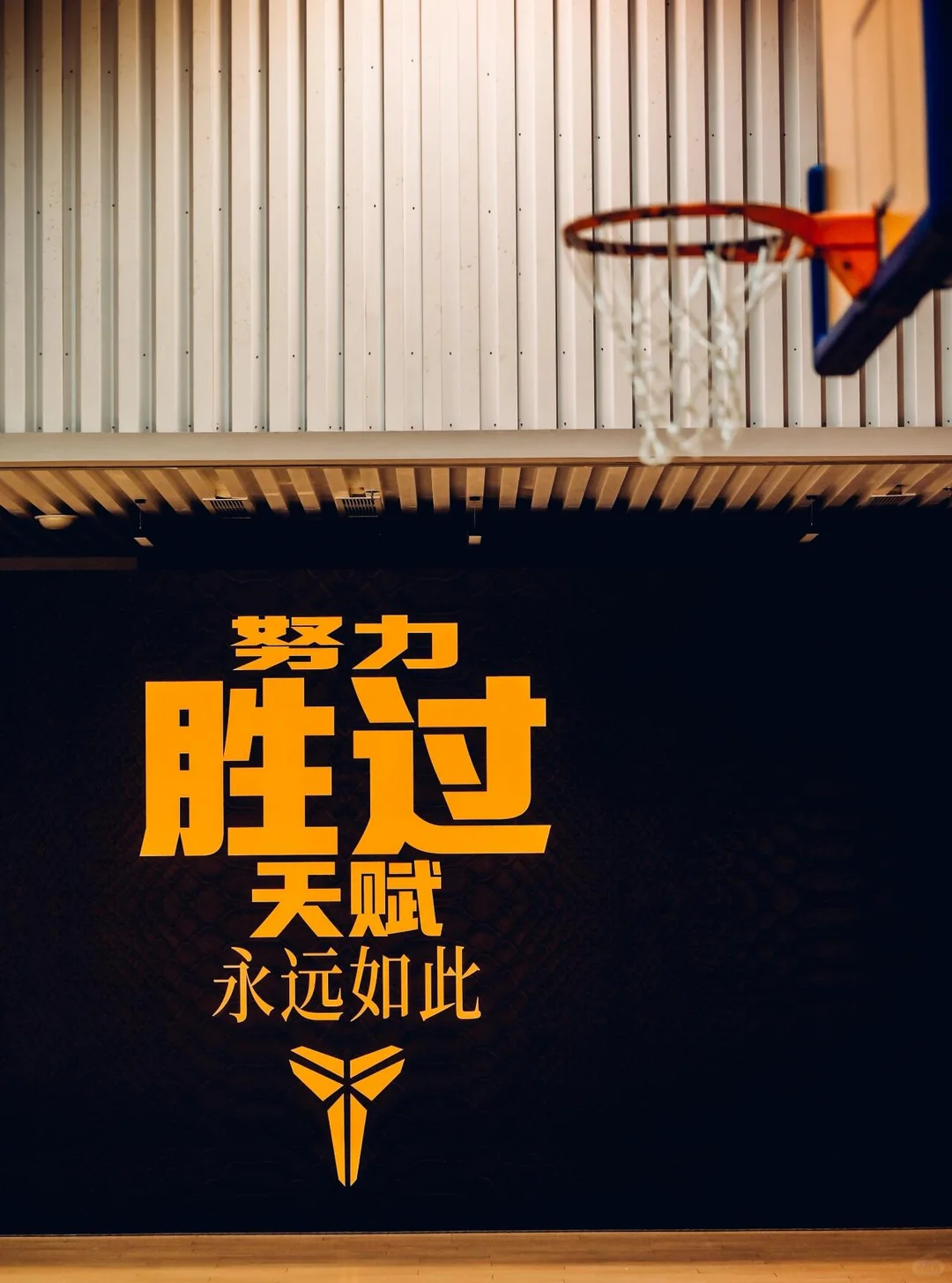 40+不是终点，是重启的下半场