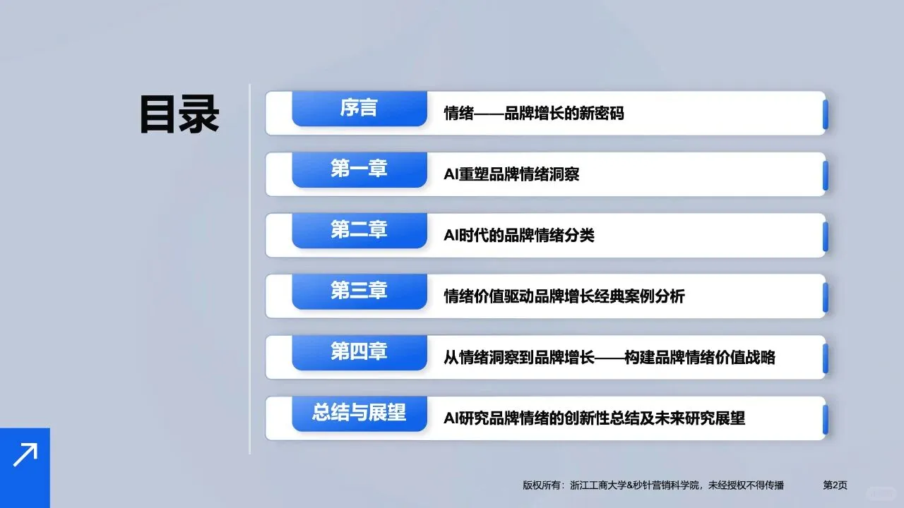 2025品牌情绪与增长AI时代如何驾驭消费者