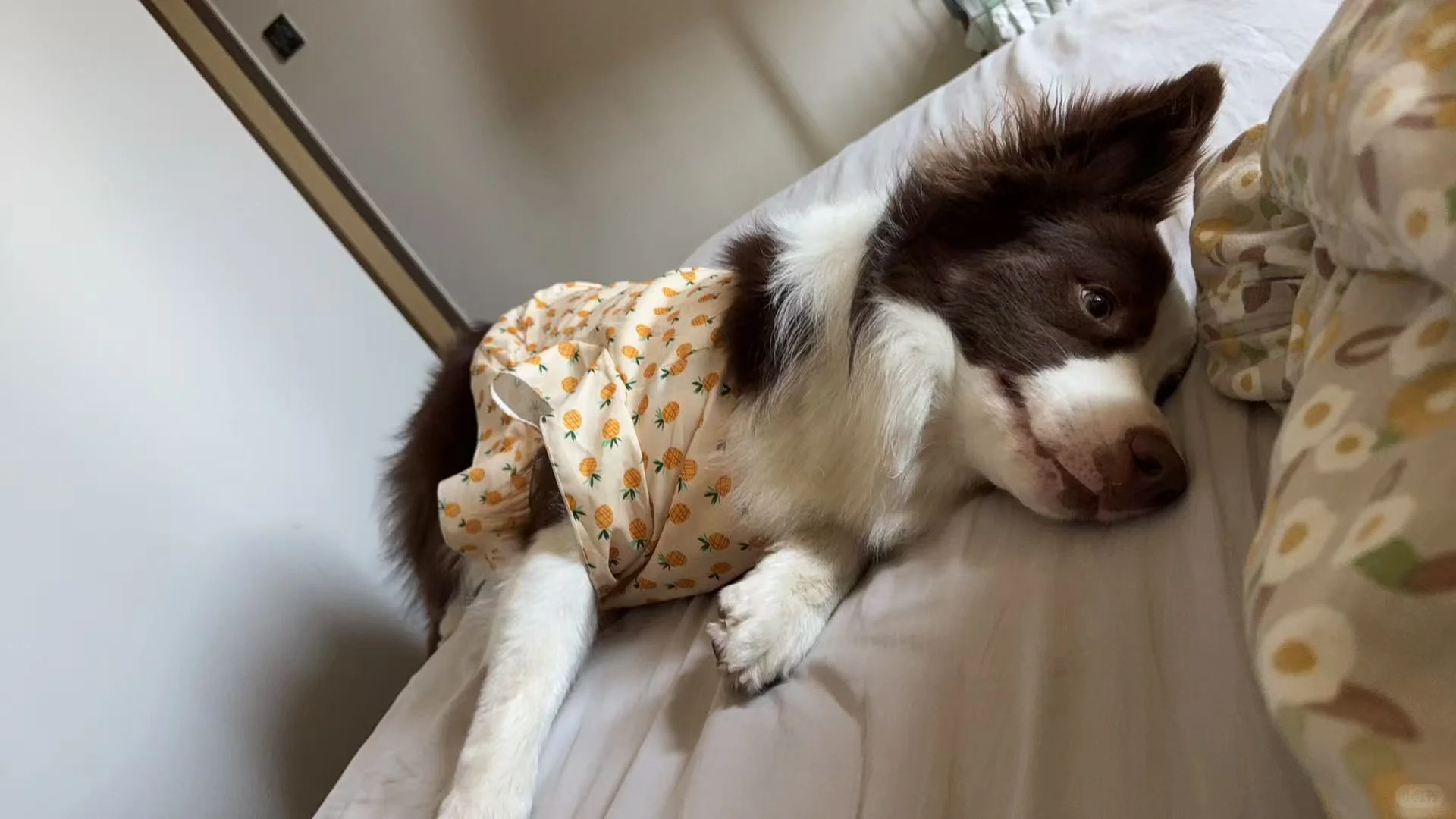 消费者调研我有六不做：定性访谈我不做