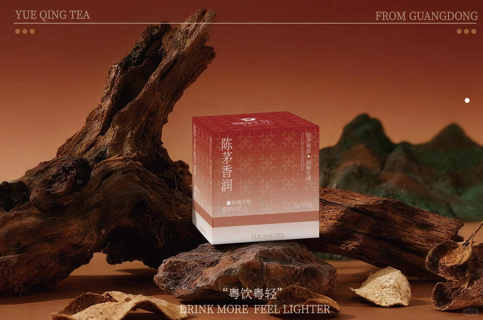 设计小白的第一份品牌设计，求各位老师指点