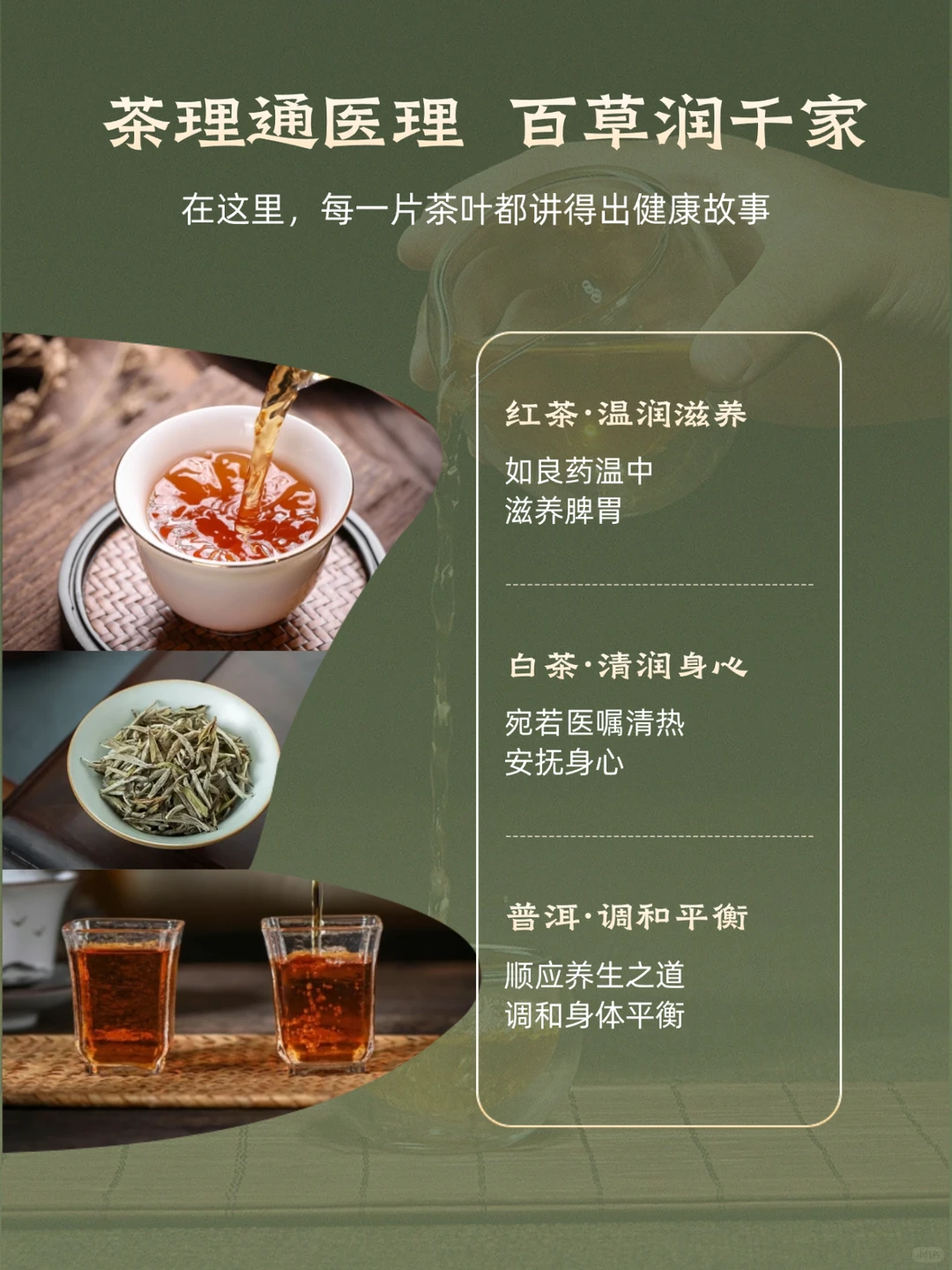 对望名院区位，把握茶养新风向