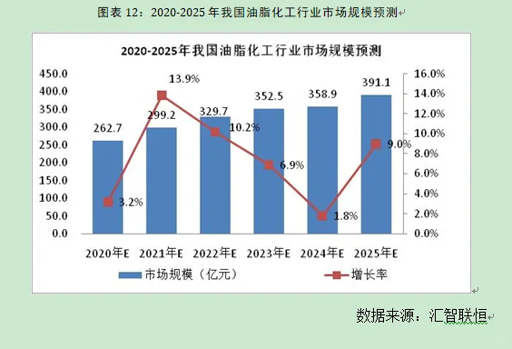 油脂化工行业市场研究与发展前景预测报告