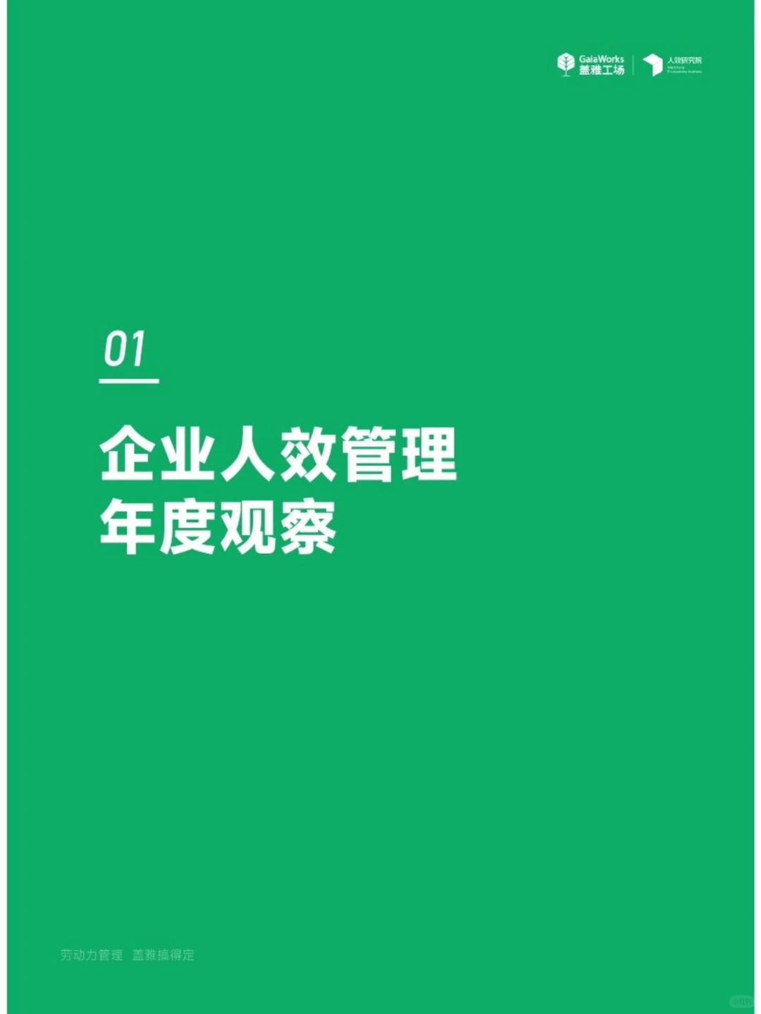 2024企业人效管理年度观察报告