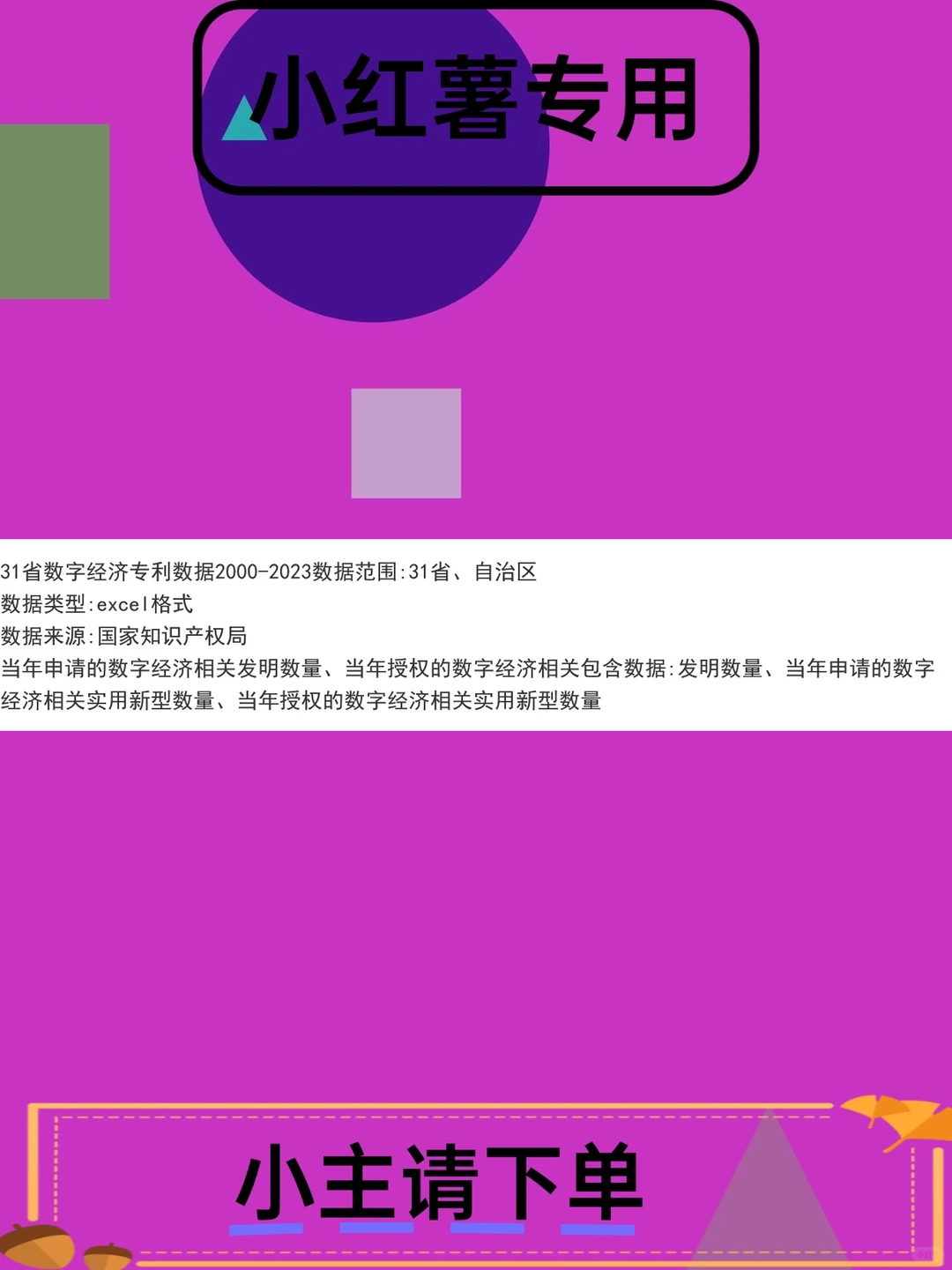 2023地级市数字经济专利数据面板300
