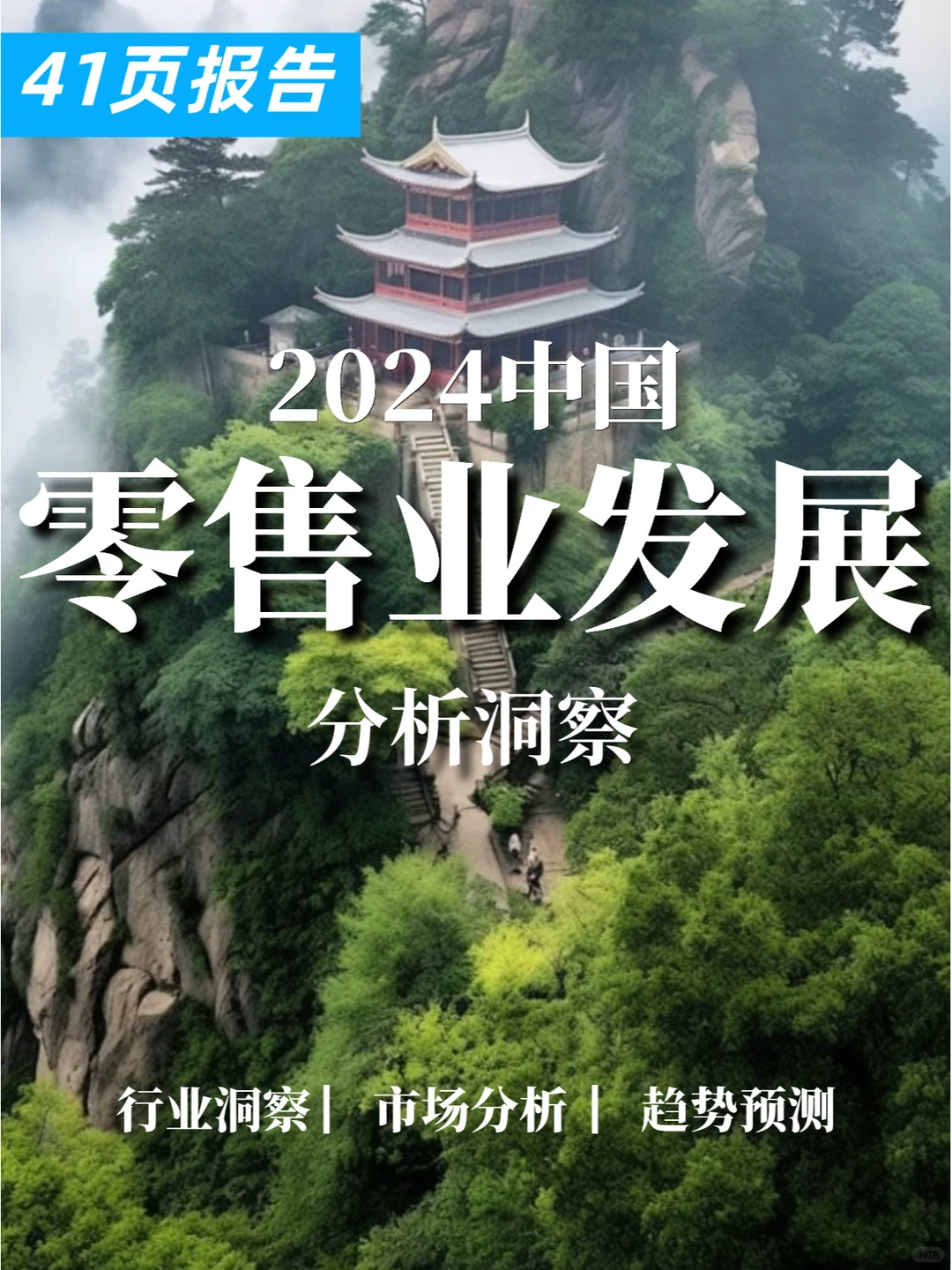 41页报告|2024中国零售业发展分析