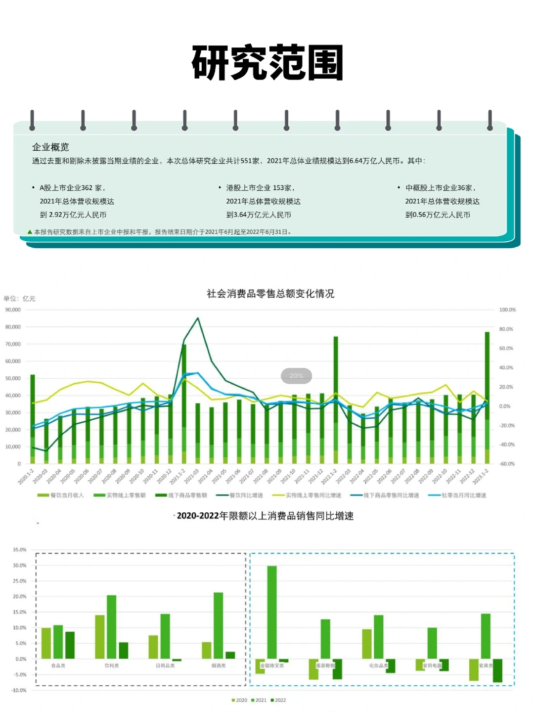 中国消费品和零售行业纵览2023