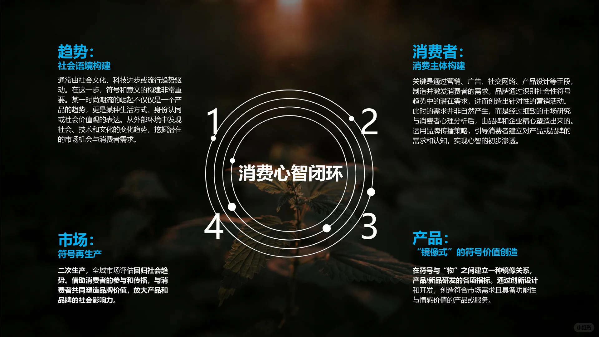 2024全球护肤新品趋势报告,中国护肤品发展