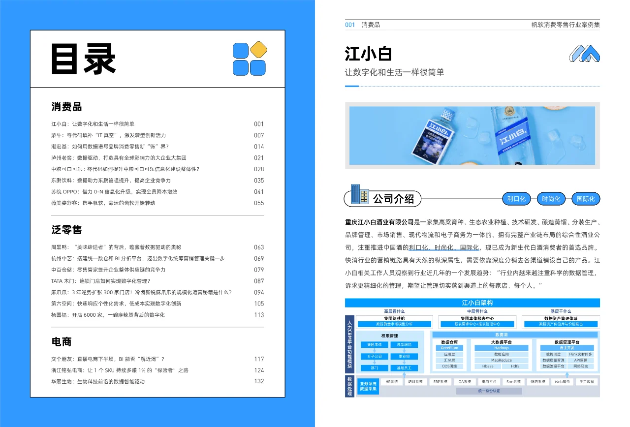消费零售行业案例集