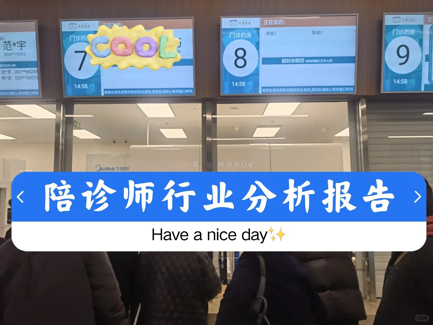成都陪诊师行业分析报告