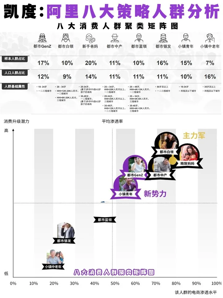 凯度:阿电商八大策略人群分析