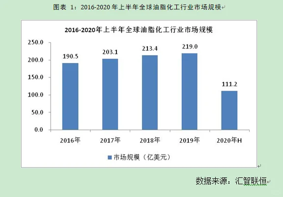 油脂化工行业市场研究与发展前景预测报告