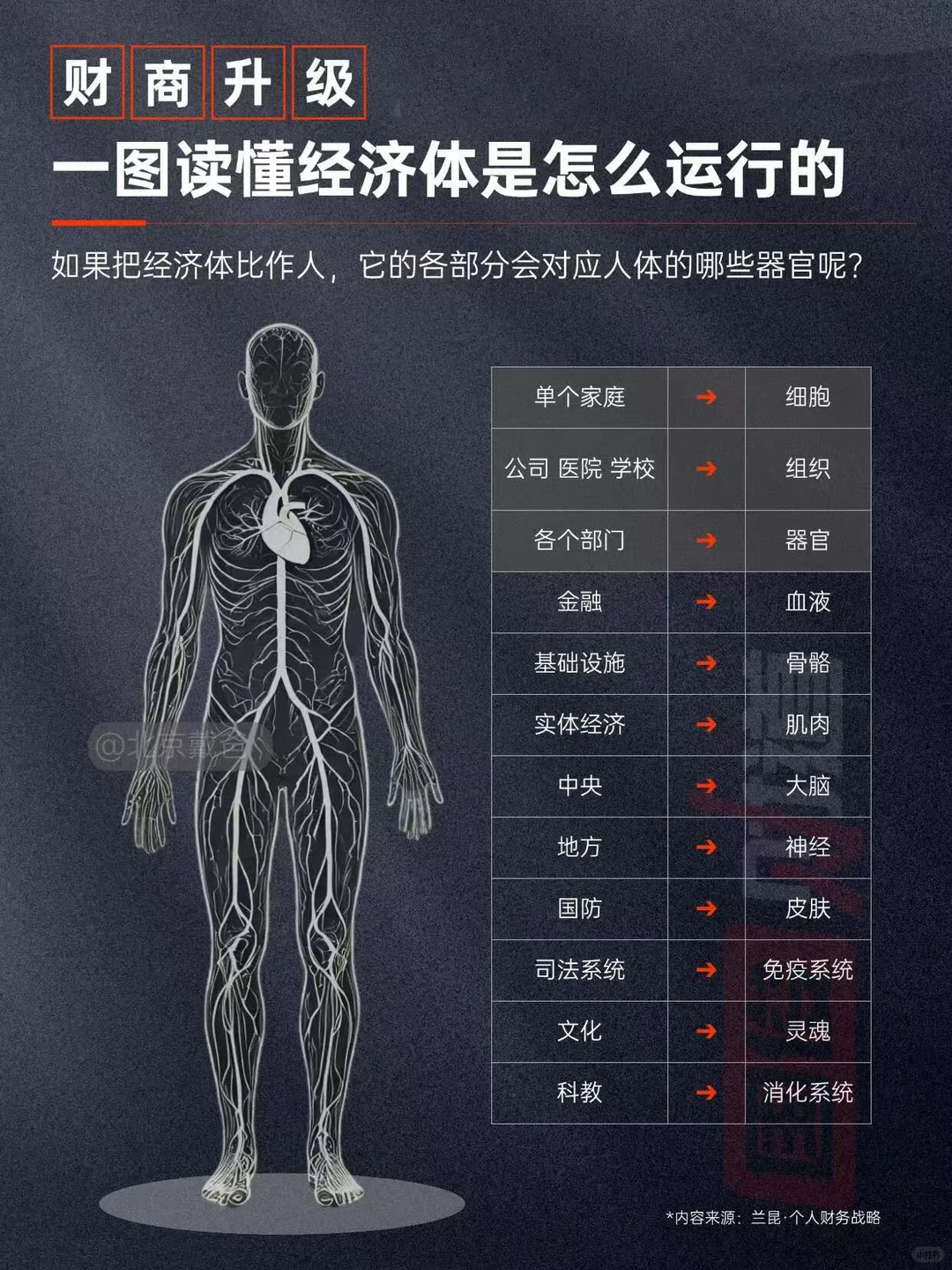 经济是怎么运行的？