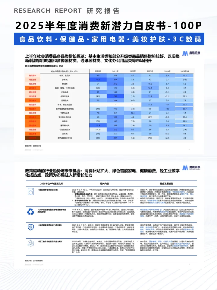 一份报告洞察2025半年度消费新潜力