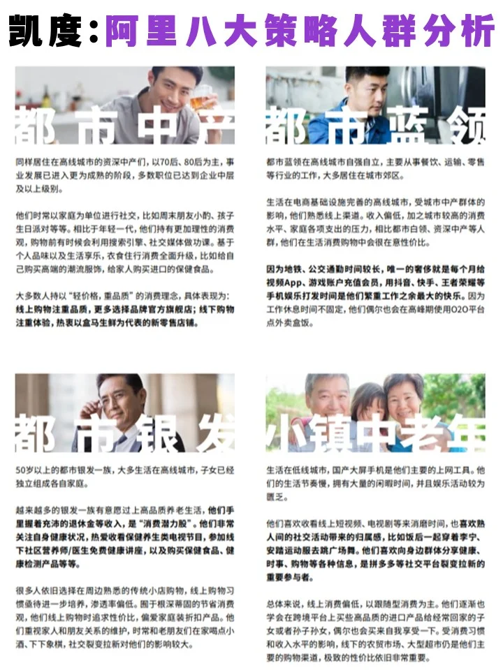 凯度:阿电商八大策略人群分析