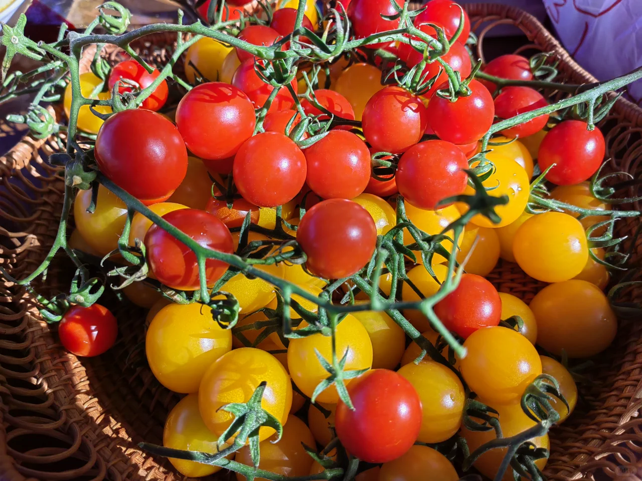 蔬菜市场,逃不脱“物以稀为贵”的基本规律