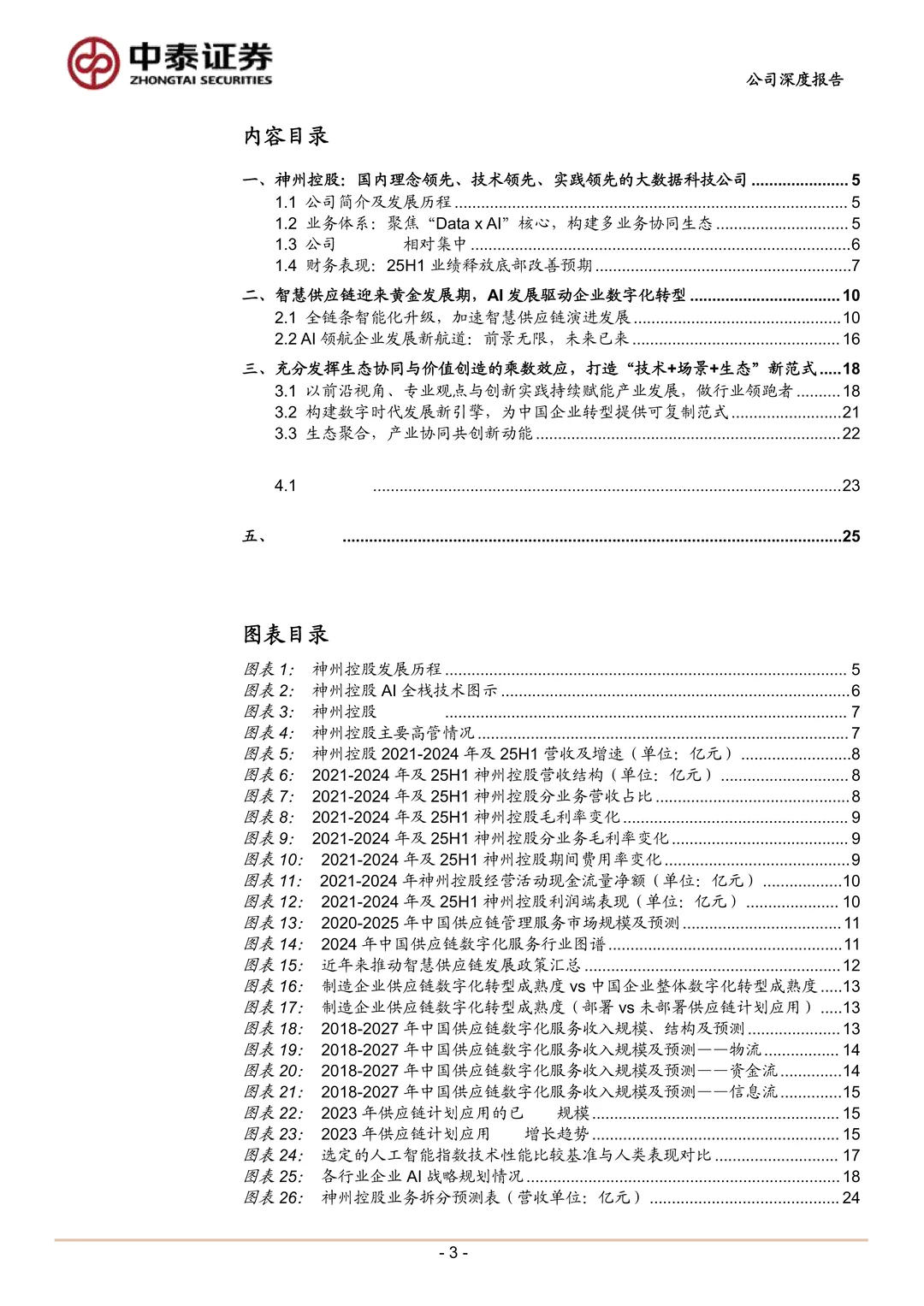 神州控股公司研究报告-聚焦“Data+AI”落地