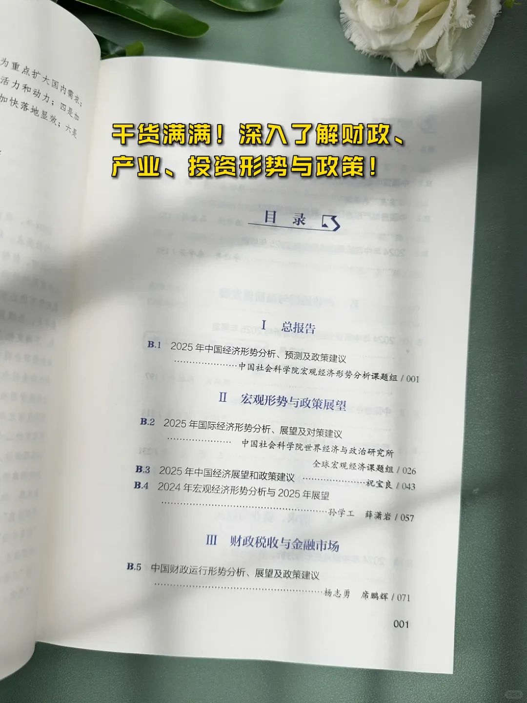 2025中国经济蓝皮书一本书带你看懂中国经济