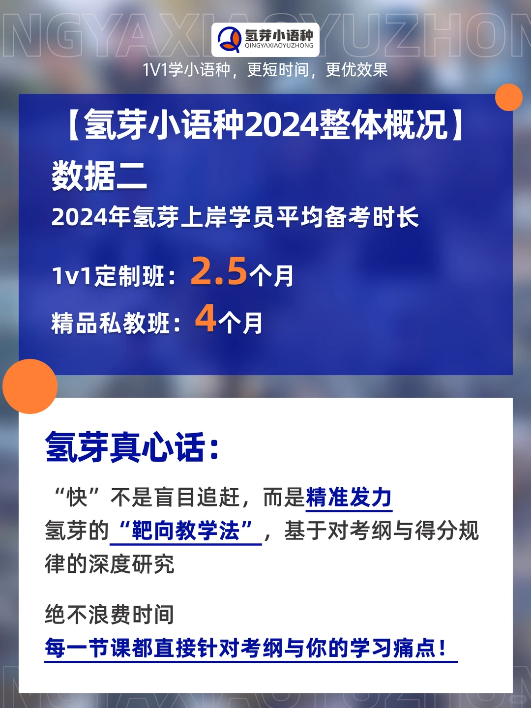 官方发布|氢芽小语种2024年度数据报告