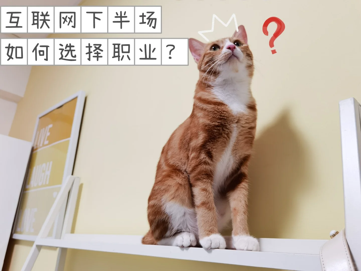 互联网下半场，运营人要如何选择职业？