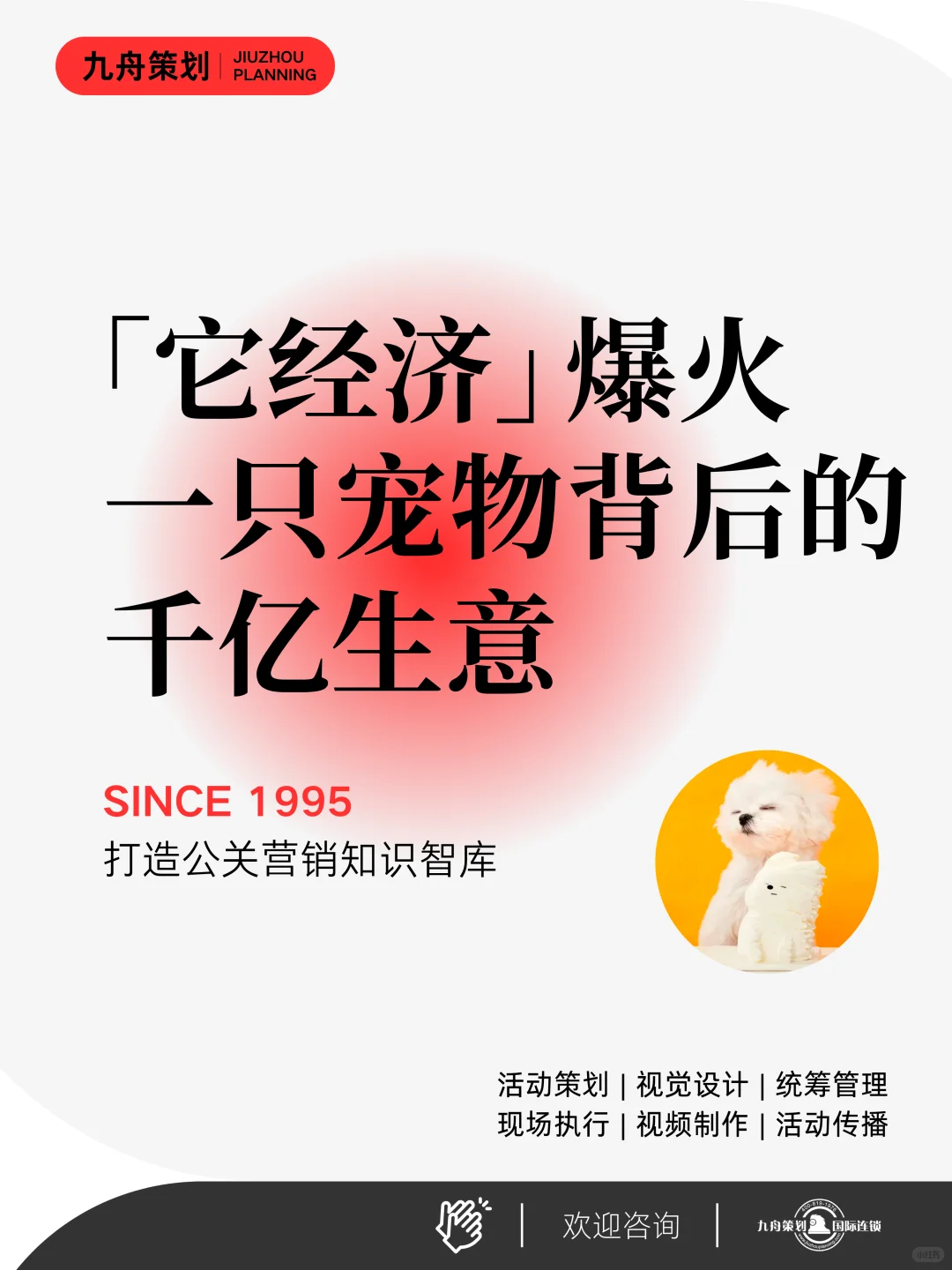 它经济爆火，一只宠物背后的千亿生意