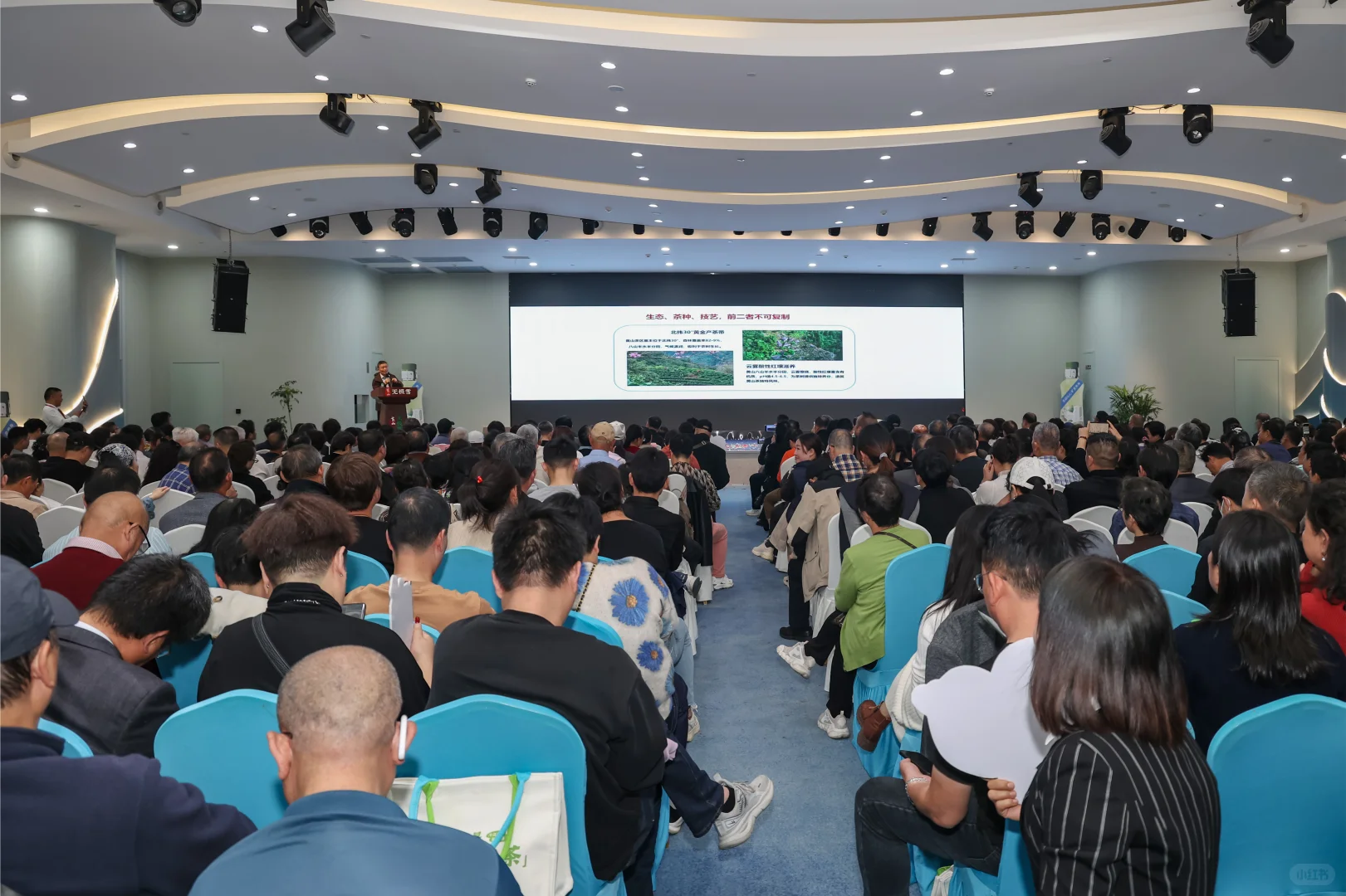 黄山无极雪新式茶饮发布会圆满成功！